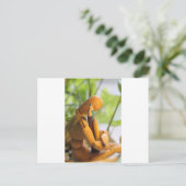 Carte Postale Salutations pour un artiste (Debout devant)