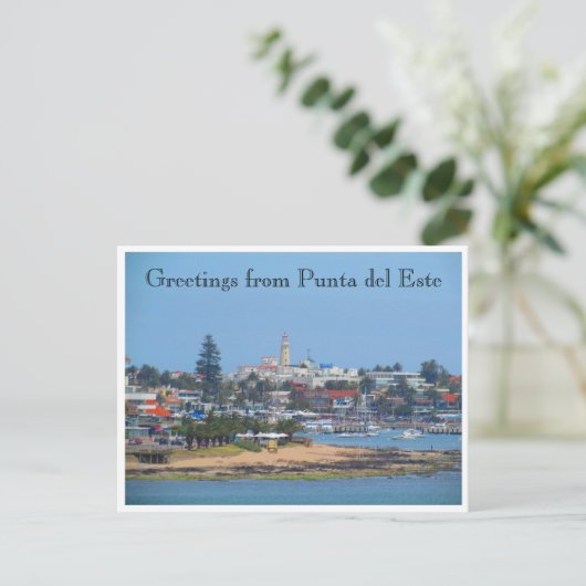 Carte Postale salutations punta del este (Debout devant)