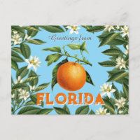 Salutations Rétro Vintage de Floride Fruit Orange