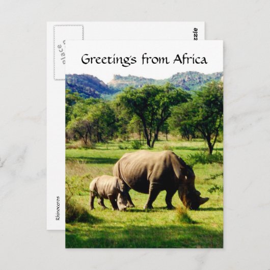 Carte Postale salutations rhino (Devant / Derrière)