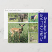 Carte Postale salutations sud-africaines (Devant / Derrière)