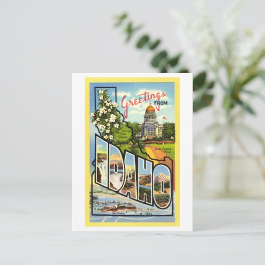 Carte Postale Salutations vintages de Idaho (Debout devant)