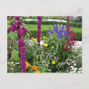 Carte Postale Salzburg Gardens, Autriche