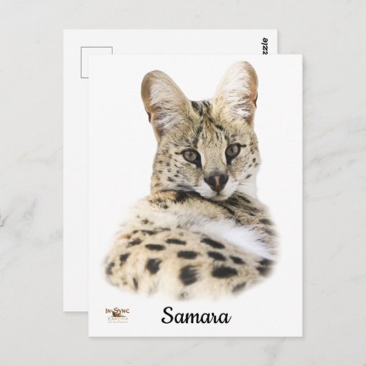 Carte Postale Samara douce (Devant / Derrière)