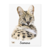Samara douce