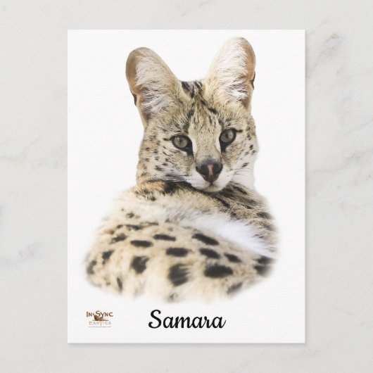 Carte Postale Samara douce (Devant)