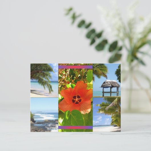 Carte Postale Samoa (Debout devant)