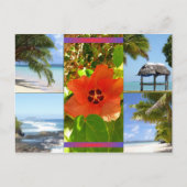 Carte Postale Samoa (Devant)