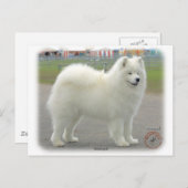 Carte Postale Samoyed (Devant / Derrière)