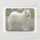 Carte Postale Samoyed (Devant)