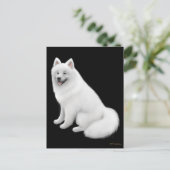 Carte postale Samoyed Dog (Debout devant)