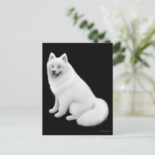 Carte postale Samoyed Dog (Debout devant)