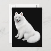 Carte postale Samoyed Dog (Devant / Derrière)