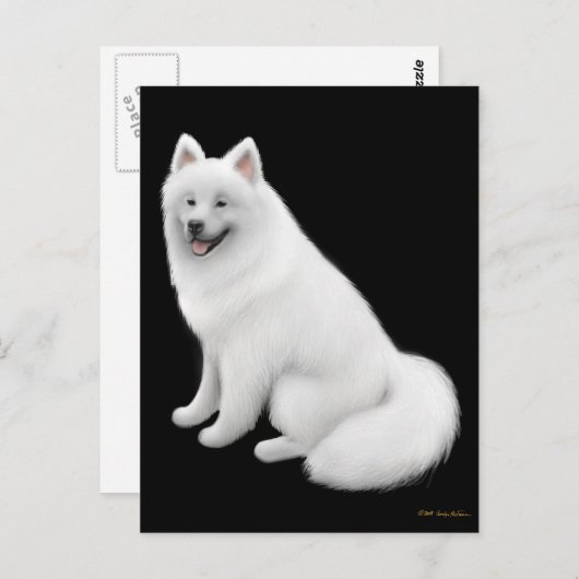 Carte postale Samoyed Dog (Devant / Derrière)
