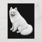 Carte postale Samoyed Dog (Devant)