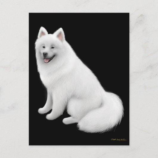 Carte postale Samoyed Dog (Devant)