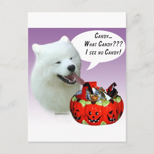 Carte Postale Samoyed Halloween Candy (Devant)