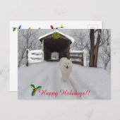 Carte postale Samoyed "Happy Holidays" (Devant / Derrière)