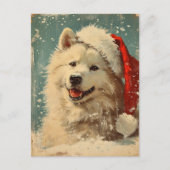 Carte Postale Samoyed noël (Devant)