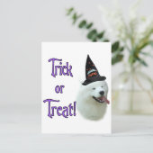 Carte Postale Samoyed Trick (Debout devant)