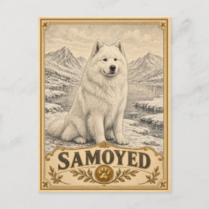 Carte Postale Samoyède, Chien du Patrimoine Ancien