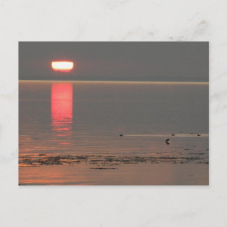 Carte Postale Samsø Island Denmark Photo Colette July 2009