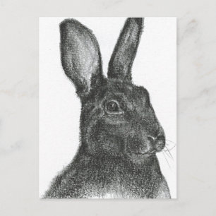 Carte Postale Samuel L Jackson