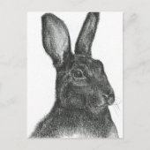 Carte Postale Samuel L Jackson (Devant)