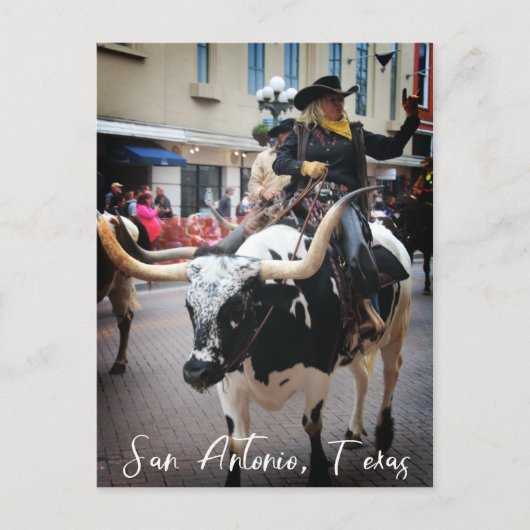 Carte Postale San Antonio Longhorn (Devant)