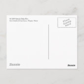 Carte Postale San Cristobal de Las Casas, Chiapas, Mexique (Dos)