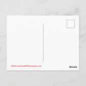 Carte postale San Diego, Californie (Dos)