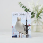 Carte postale San Diego, Seagull et Bateau (Debout devant)