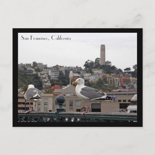 Carte postale San Francisco (Devant)