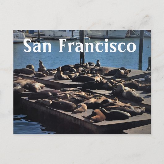 Carte postale San Francisco (Devant)