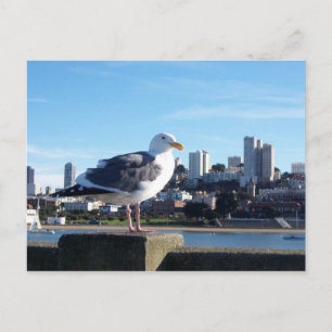 Carte Postale san francisco.
