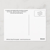 Carte Postale San Francisco Collage (Dos)