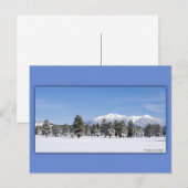 Carte Postale San Francisco Pics En Neige (Devant / Derrière)