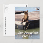 Carte postale San Francisco Pier 39 Sea Lion (Devant / Derrière)