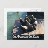 Carte postale San Francisco Pier 39 Sea Lions #2 (Devant / Derrière)