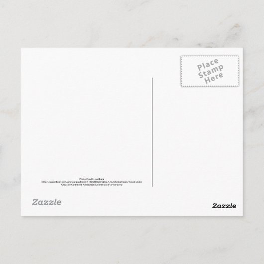 Carte Postale San Francisco Skyline avec San Francisco dans le c (Dos)