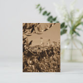Carte Postale San Gimignano (Debout devant)