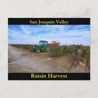 Carte Postale San Joaquin Valley Raisin Harvest