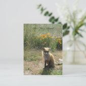 Carte Postale San Juan Island Fox (Debout devant)