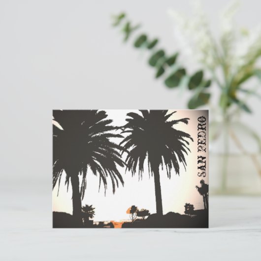 Carte postale San Pedro Royal Palms (Debout devant)