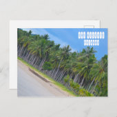 Carte Postale San Vicente à Palawan (Devant / Derrière)