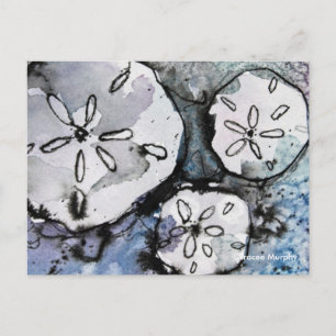 Carte Postale Sand Dollar Trio
