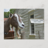 Carte Postale Sandburg Connemara Fermes de chèvre laitière (Devant)