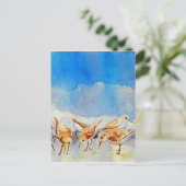 Carte postale Sanderling Shuffin AquarelleMémoire  (Debout devant)