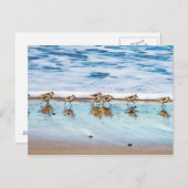 Carte Postale Sanders Longeant La Plage (Devant / Derrière)