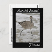 Carte postale Sandpiper de l'île de Sanibel (Devant / Derrière)
